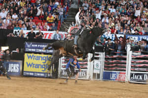 Bull Riding Actionat P B R Event Wallpaper