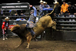 Bull Riding Actionat P B R Event Wallpaper