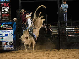 Bull Riding Actionat P B R Event Wallpaper