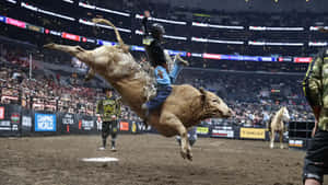 Bull Riding Actionat P B R Event Wallpaper