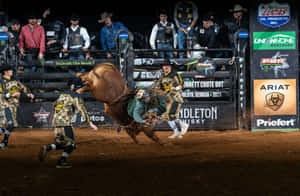 Bull Riding Actionat P B R Event Wallpaper