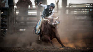 Bull Riding Actionat Rodeo Wallpaper