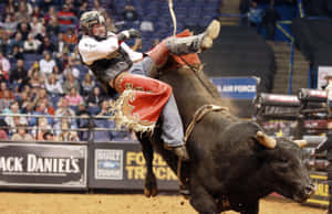 Bull Riding Actionat Rodeo Wallpaper