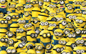 Bunch Of Minions Despicable Me 2 Wallpaper