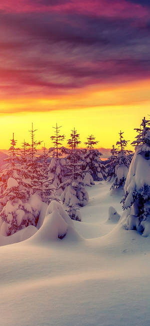 Bundle Up And Show Your Winter Style In This Cute Iphone Wallpaper. Wallpaper