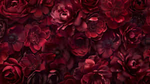 Burgundy Floral Backdrop Wallpaper