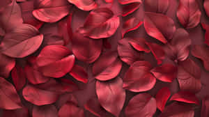 Burgundy Leaves Background Wallpaper