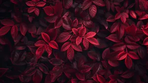 Burgundy Leaves Texture Wallpaper