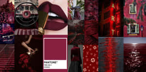 Burgundy Maroon Aesthetic Collage Wallpaper