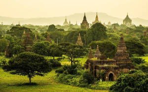 Burma Green Trees Wallpaper