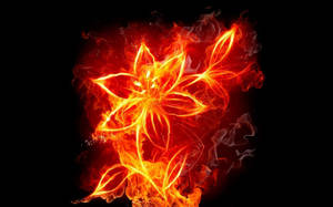 Burning Flower Fire Background Wallpaper