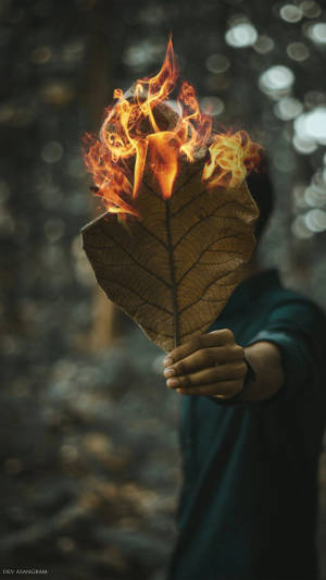 Burning Leaf Hd Photography Wallpaper