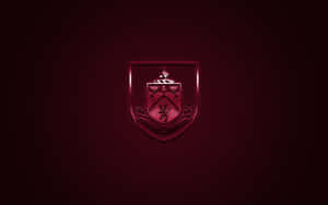 Burnley Fc Players Celebrating On The Field Wallpaper