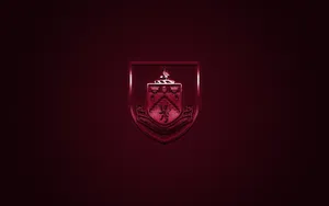 Burnley Fc Players Celebrating On The Field Wallpaper