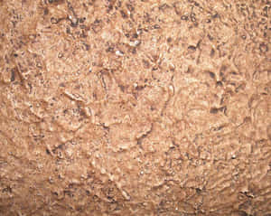 Burnt Bronze Panel Wallpaper