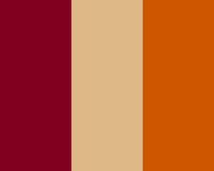 Burnt Orange Color Palette Inspiration Wallpaper