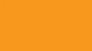 Burnt Orange Solid Background.jpg Wallpaper