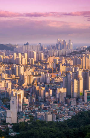 Busan South Korea Aesthetic Wallpaper