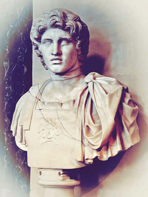 Bust Made With Tremendous Skill Wallpaper