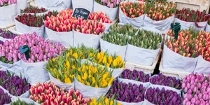 Bustling Flower Market In Full Bloom Wallpaper