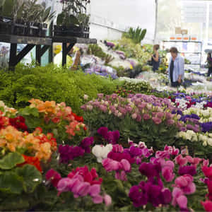 Bustling Flower Market Scene Wallpaper
