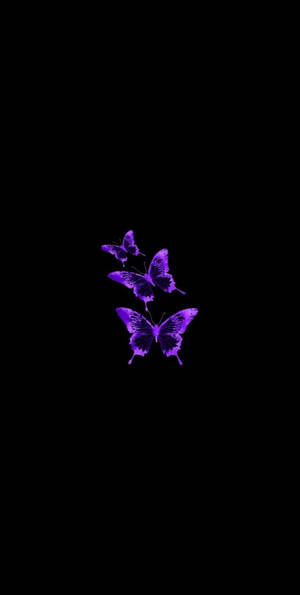 Butterflies On Black And Purple Phone Wallpaper