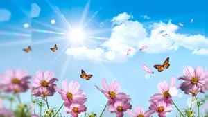 Butterflies Summer Desktop Wallpaper
