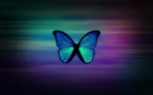 Butterfly For Girl Phone Display Wallpaper