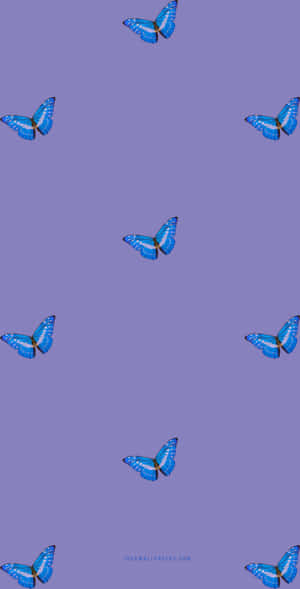 Butterfly Magic – Purple, Beautiful And Majestic Wallpaper