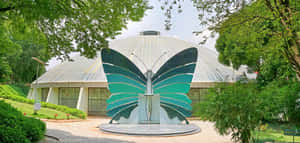 Butterfly Wing Entrance Park Pavilion Wallpaper