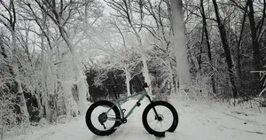 Buttermint Green Surly Ice Cream Truck Wallpaper