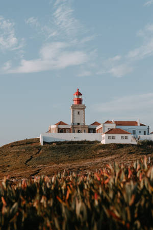 Cabo Verde Lighthouse Portrait Wallpaper