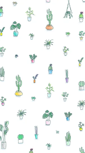 Cactus Plants Cute Iphone Lock Screen Wallpaper