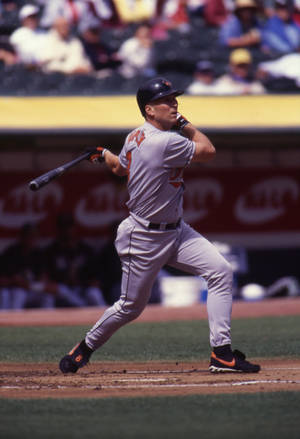 Cal Ripken Jr Batting Wallpaper