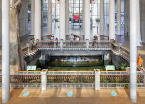 California Academyof Sciences Interior Wallpaper