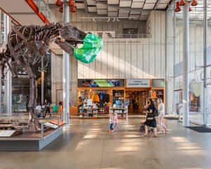 California Academyof Sciences Lobbywith Dinosaur Skeleton Wallpaper