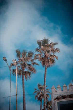 California Aesthetic Blue Sky Wallpaper