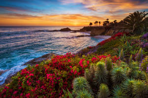 California Ocean View Wallpaper