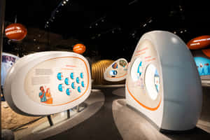 California Science Center Exhibit Wallpaper