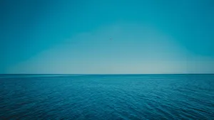 Calm Blue And Cool-looking Horizon Wallpaper