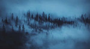 Calm Forest Aesthetic Desktop Wallpaper