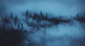 Calm Forest Aesthetic Desktop Wallpaper