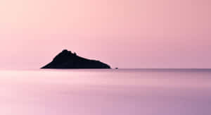 Calm Pink Aesthetic Desktop Wallpaper