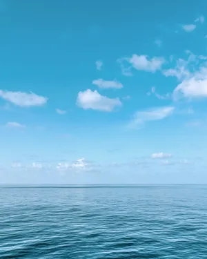 Calm Sea And Blue Sky Horizon Wallpaper