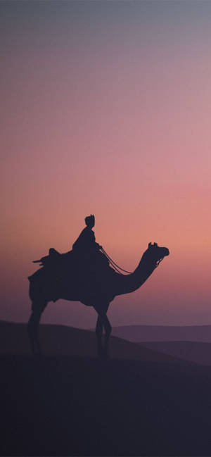 Camel In Purple Scrim Wallpaper