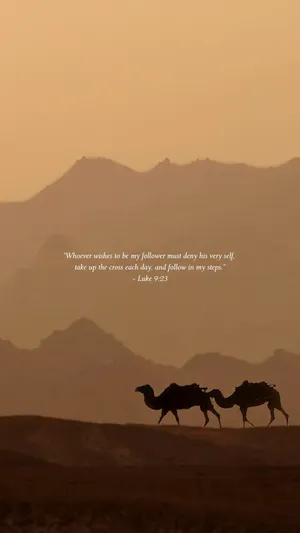 Camelsin Silhouette Biblical Verse Wallpaper