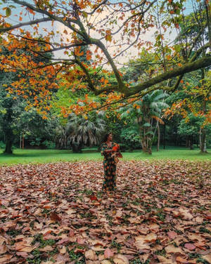 Cameroon Woman Standing Autumn Leaves Wallpaper
