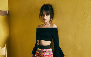 Camila Cabello Pop Artist Wallpaper