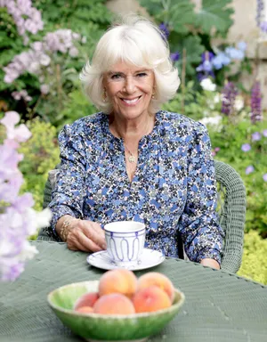 Camilla Tea Peaches Wallpaper