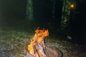 Campfire Nightin Forest.jpg Wallpaper